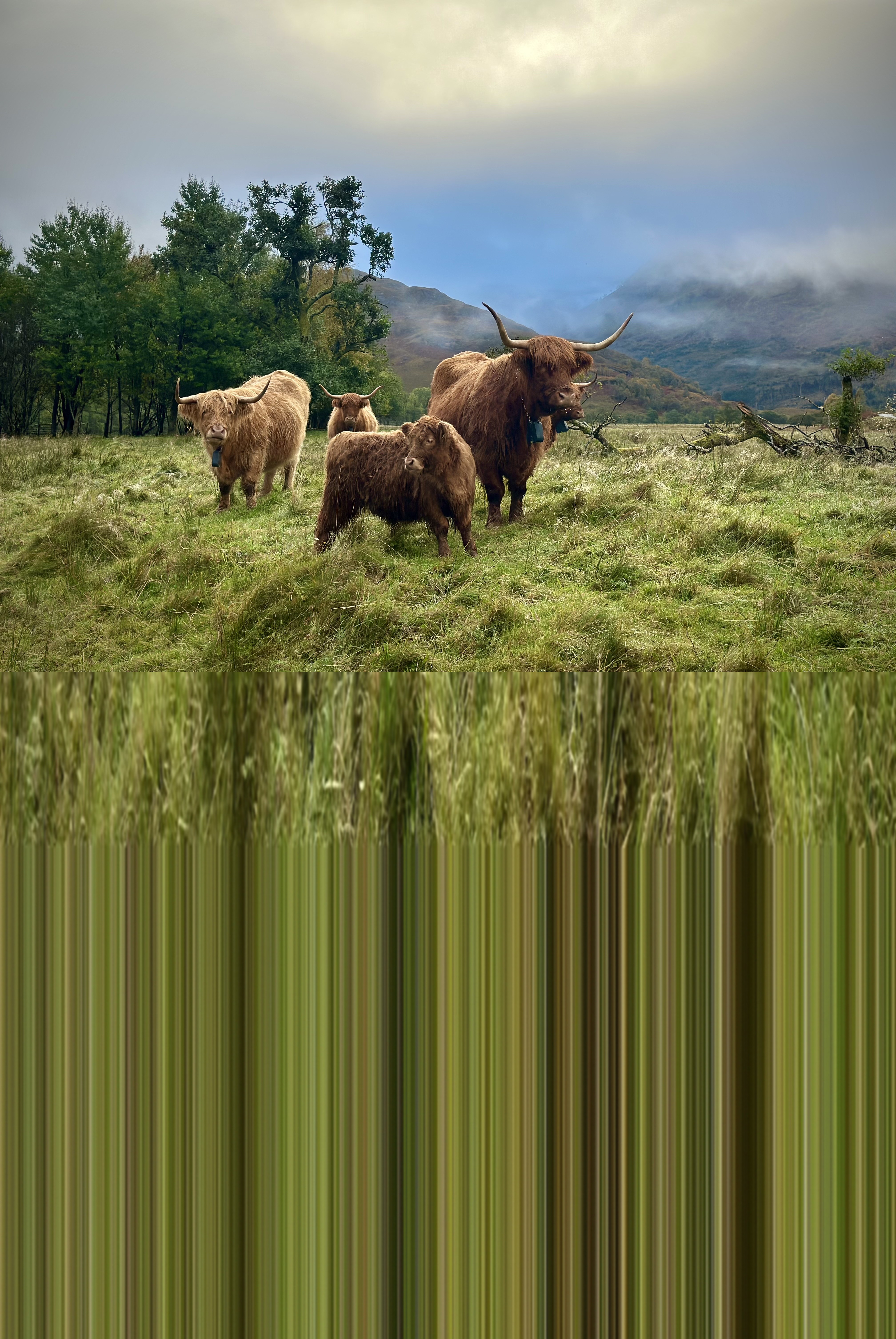 Waterfalls and Wildlife